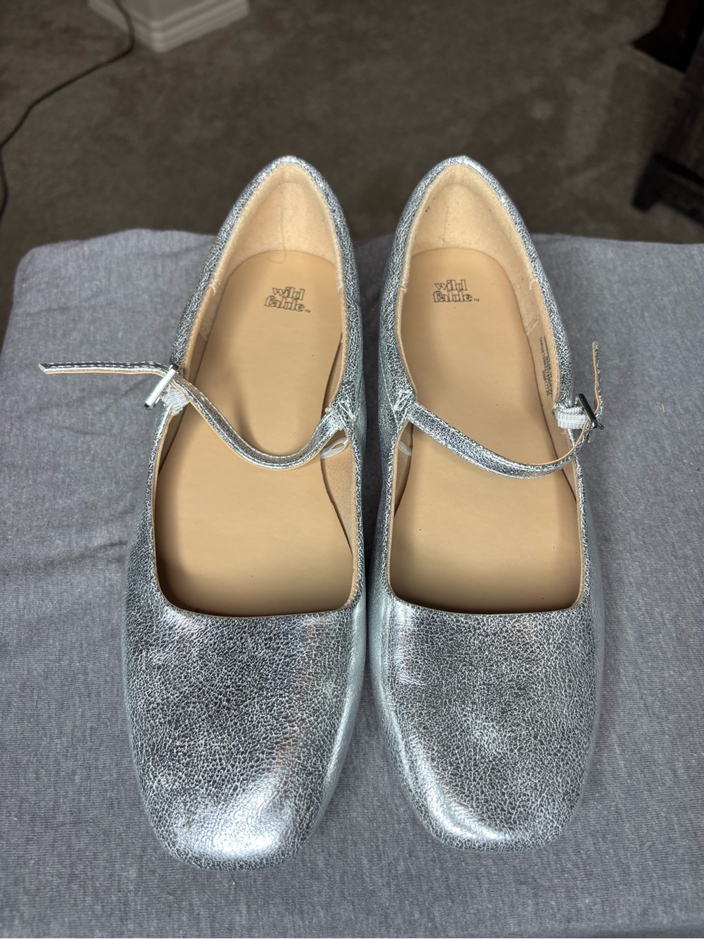 Wild Fable Mary Jane Ballet Flats Style Elsa Size 9.5 Metallic City Modern